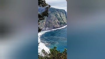 تلاوة عطرة لسورة الطارق..للقارئ الشيخ وليد الأزهرى...