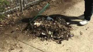 Writing Assignment #5 - Philly Spring Cleanup