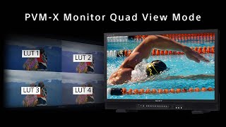 Sony PVM-X Monitor: Quad View Mode