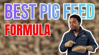 Best Pig Feed Formula for Pregnant Sow