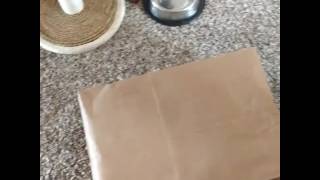 Phill plays in bags