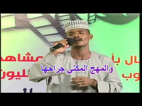 الطاهر محمد أحمد مرمي بالغرام