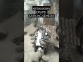 #viral keganasan erupsi semeru
