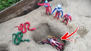 Ultraman Taiga & Bayi Ultraman Dimakan Ular Diselamatkan Ultraman Gingga Ultraman Cosmos Zero Geed