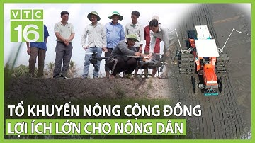 Nông dân hưởng lợi từ Tổ Khuyến nông cộng đồng | VTC16