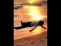 Prem Ke Rang Mein Aisi Doobi  – Saanson Ki Mala Pe#SaansonKiMala#NFK#Qawali #Spiritual#ClassicSong