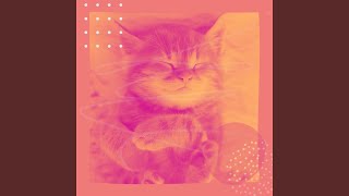 Alluring Lush Kittens