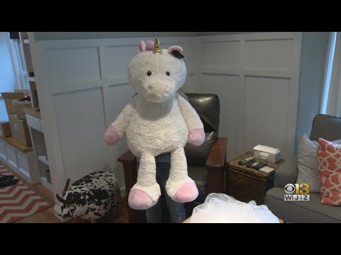 Towson Couple Honors Son, Bring Laughs To Children With Cancer Through Farting Stuffed Animals