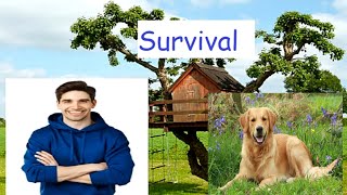 Fnf Vs Tord Red Fury Survival But Chikn Nuggit Sings It.