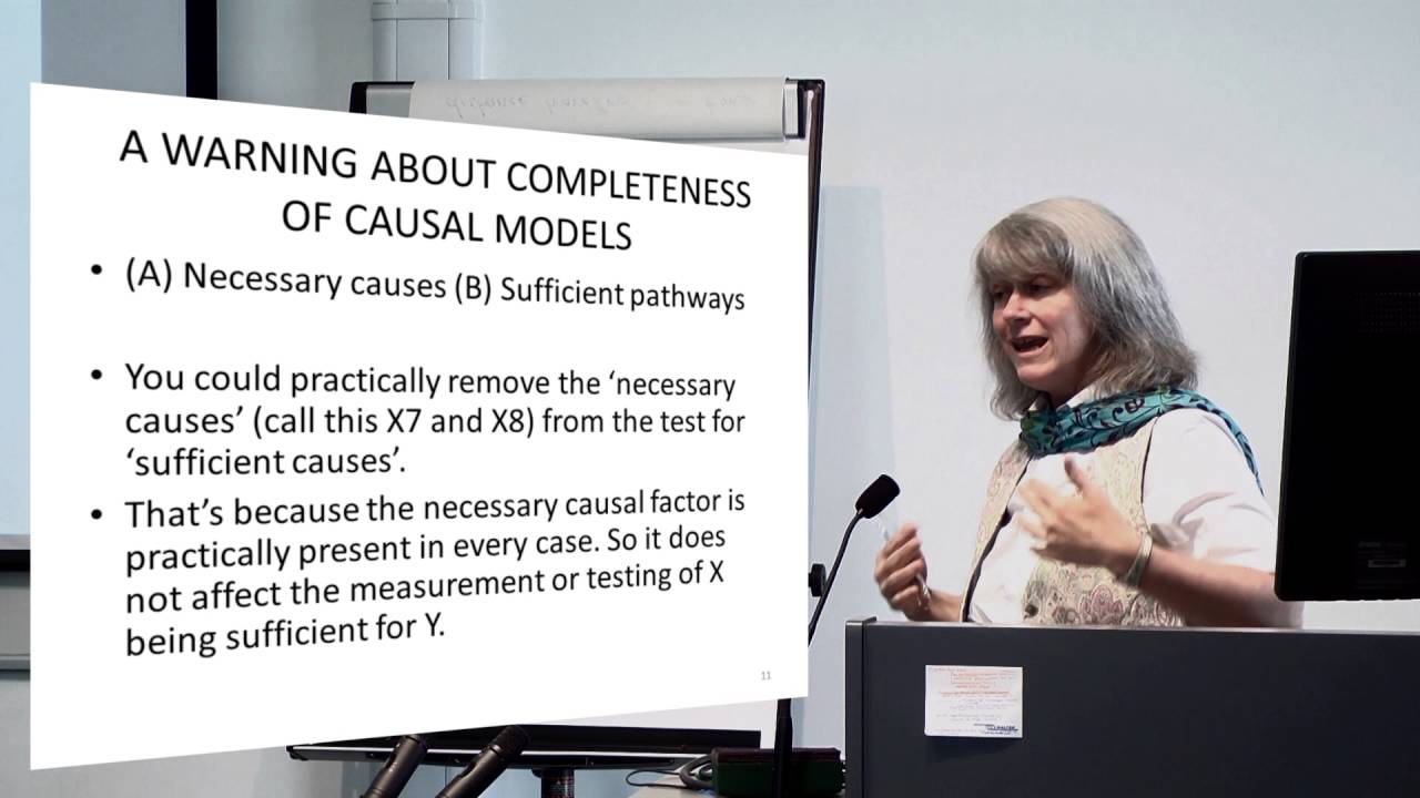 How qualitative and comparative analysis works and how to test the result? Professor Wendy Olsen