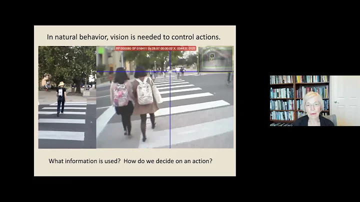 Prof Mary Hayhoe on "Visual Decisions in Natural A...