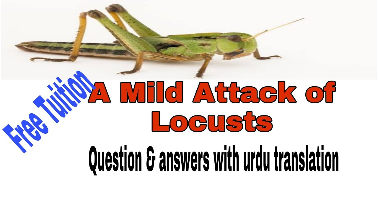 A Mild Attack Of Locusts By Doris Lessing Text Based Question Answers nuclear-power-plants-15-feb-2023