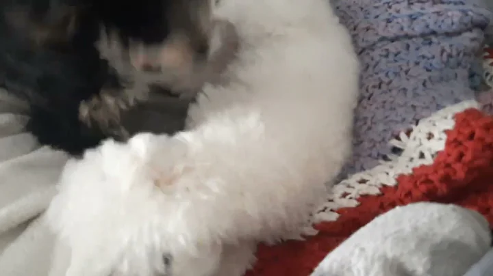 Leonard and Nellie playing