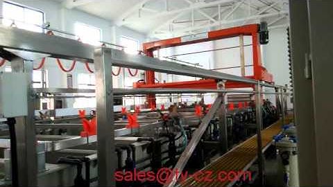 Gantry type zinc/copper/chrome/nickle/gold electroplating machine