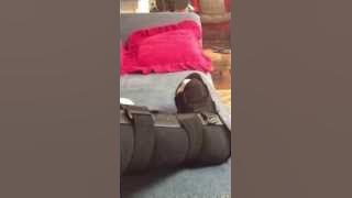 Airboot- Non-displaced Fibula fracture