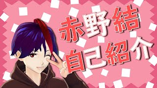 「【自己紹介】CGアニメーションを制作したい赤野結です【新人VTuber】」のサムネイル