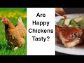 How to Buy Chicken (Organic? Pastured? Air-Chilled?)