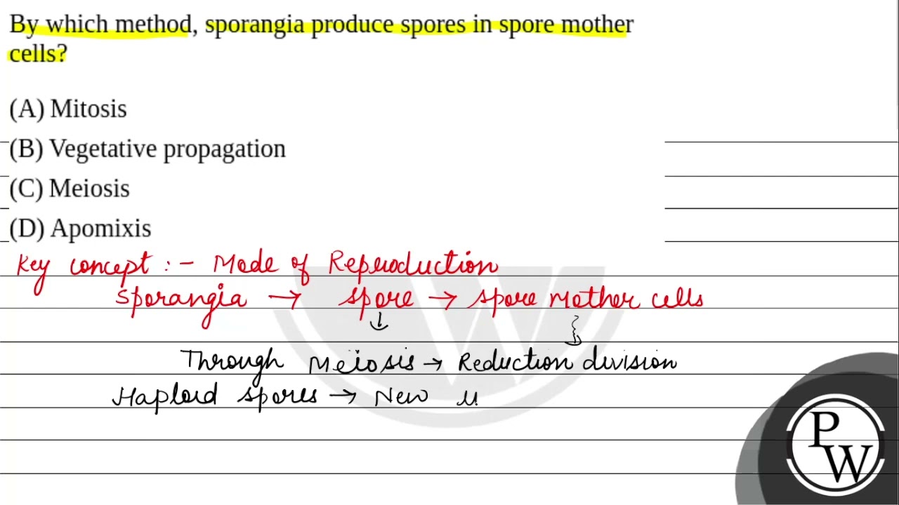 By which method, sporangia produce spores in spore mother cells?&nbsp;....