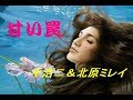 甘い罠  /  平浩二&北原ミレイ  [Cover]コラボ曲