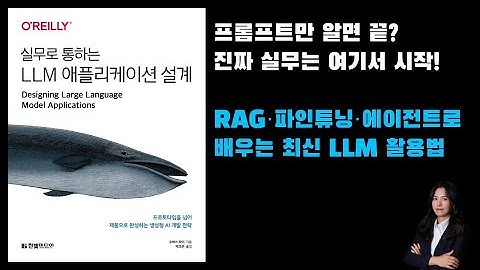 실무로 통하는 LLM 애플리케이션 설계 책 - RAG·파인튜닝·에이전트로 배우는 최신 LLM 활용법