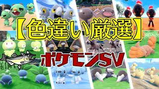 【色違い厳選】ポケモンSV　色違いポケモン厳選　夏休みのポケモン大量発生イベント！【ほのおタイプ】