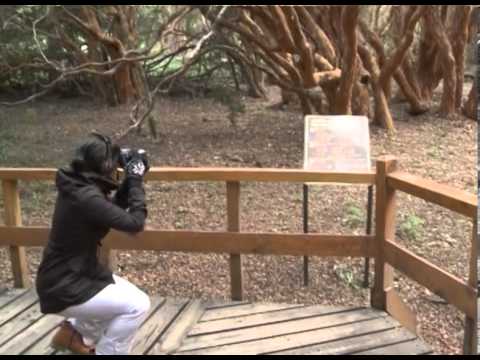 universidad nacional de cuyo derecho Universidad en noticias - Oferta de Turismo UNCuyo 2013