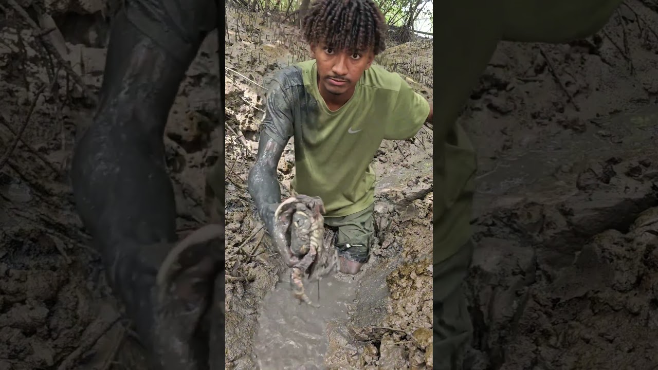 pegando caranguejo no mangue