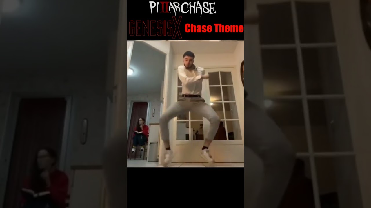 There are 2 types of GenesisX Chase Themes...