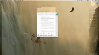 IRIScan Mouse Executive 2   Scanner & Mouse