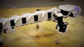 Print Pleurobot at NCCR site visit