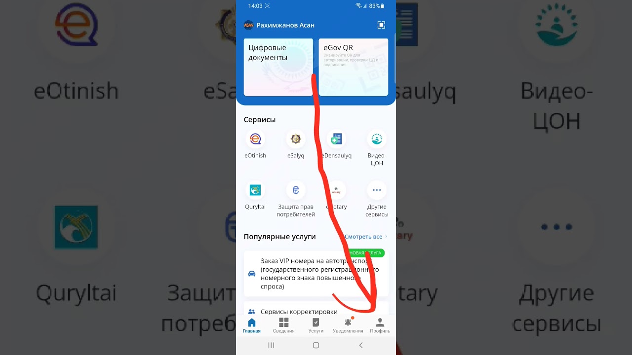 Где находится документы на транспортные средства в егов