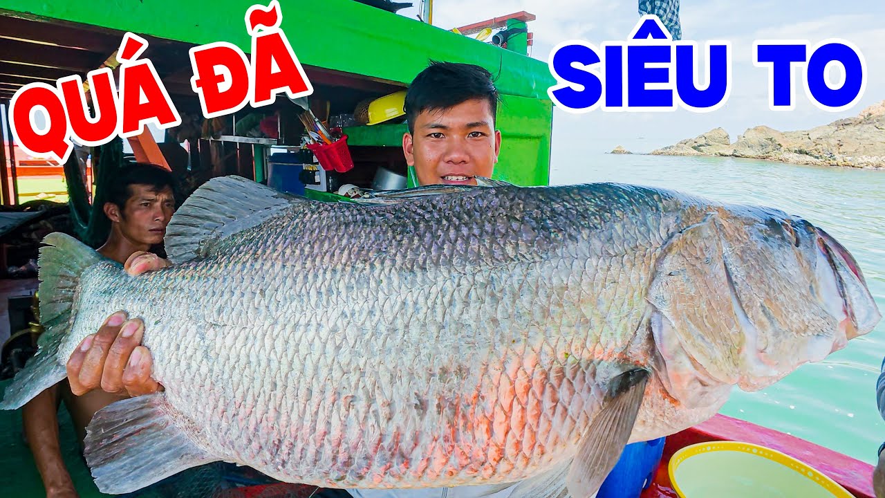 Biển Lặng Ra Khơi Chạm Trán Đàn 