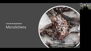 Discovering Lichens by Rachel Watson 53 views 3 years ago 15 minutes