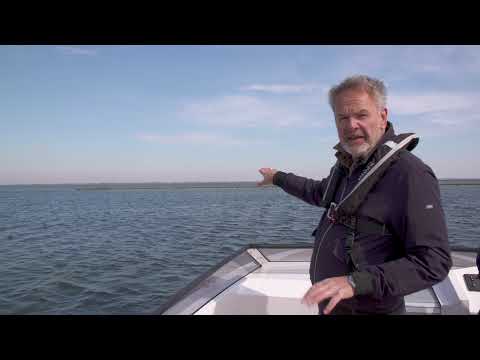 Zeehonden spotten op het Grevelingenmeer (RonReizen TV)