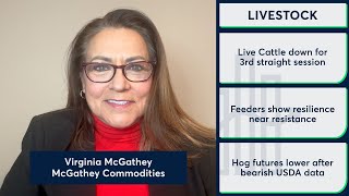 Cattle and Hog futures retreated on box price weakness and USDA data. 12/24/25