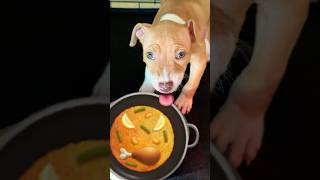 Puppy eating #doggielife #puppyfood #pitbull
