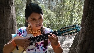 Video thumbnail of "Tamya Morán  /  "HASTA LA RAÍZ"  Charango"