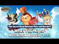 [Seven Knights Re:BIRTH] [Bae Dragon] Ep. 31 - The Pets of Seven Knights Re:BIRTH