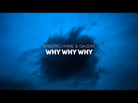 Dynoro, HVME & Gaudini | WHY WHY WHY