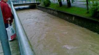 20100517 A Szinva áradása 2