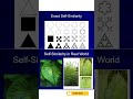 The Fractal Pattern Hidden in Leaves #mathematics #nature #shorts