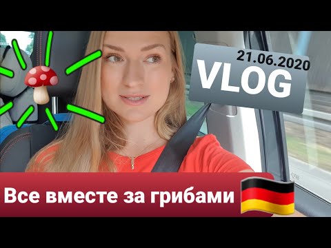 Первый раз за грибами в 2020 :) Berlin-Griebnitzsee