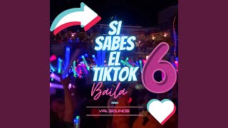 Si Sabes El TikTok Baila 6 (Remix)