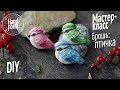 Мастер класс. Брошь: птичка. Полимерная глина. Декор кружки. DIY Polymer clay