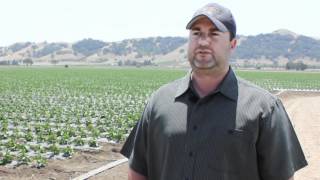 What Does The Future Hold For Uesugi Farms