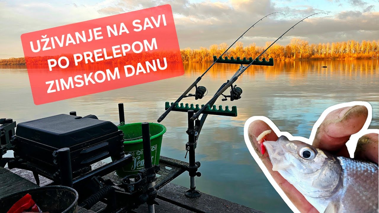 ISKORISTITE PRELEPE ZIMSKE DANE - SAVA I BELA RIBA