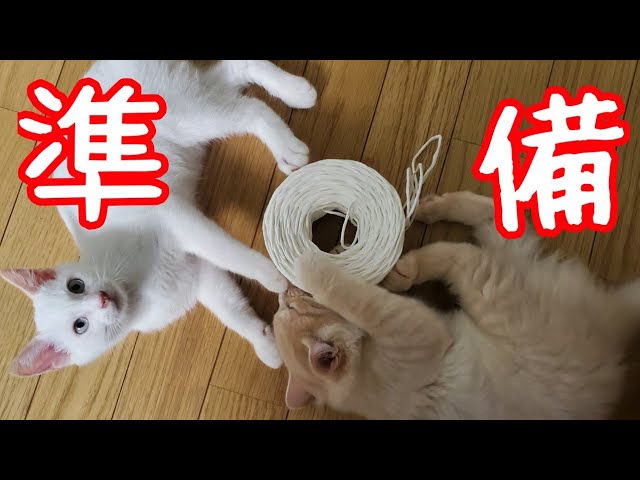 ハンドメイドで猫ちぐら① 編み始め～底面の編み方 - YouTube