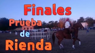 Destreza gaucha en Roberto Payró, Magdalena - Buenos Aires 🇦🇷