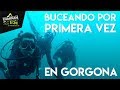 BUCEO EN GORGONA el mejor lugar de Colombia || CaminanTr3s, El tercero eres tú!!