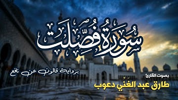 تلاوة مرتبة لسورة فصلت كاملة بصوت القارئ طارق دعوب - Surah Fussilat Tariq Daawob
